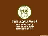 The Aquabats